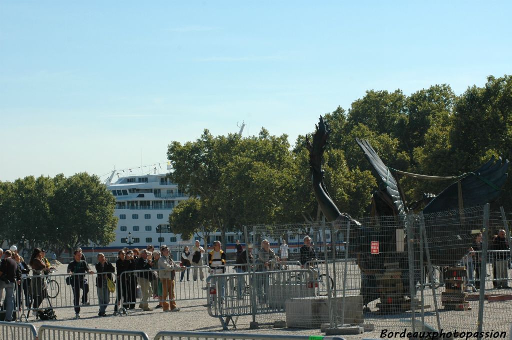 Le paquebot Europa a fait escale pour elle dans le port de Bordeaux. On vient la voir du monde entier !