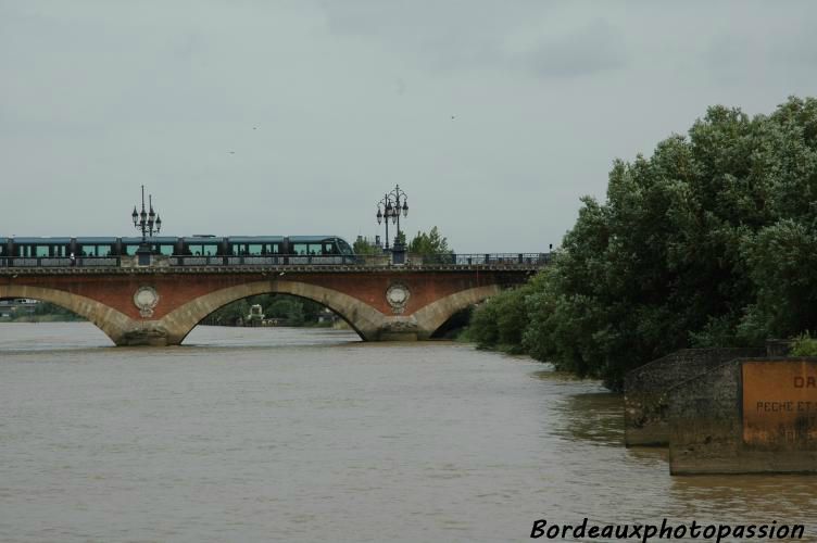 Là où s'arrêtent les quais, la végétation reprend ses droits.