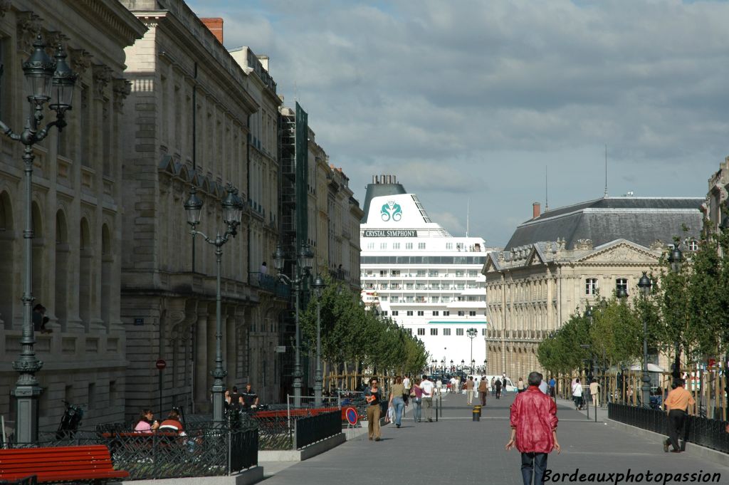 Ils sont parfois plus hauts que les bâtiments du XVIIIe siècle que les touristes viennent admirer.