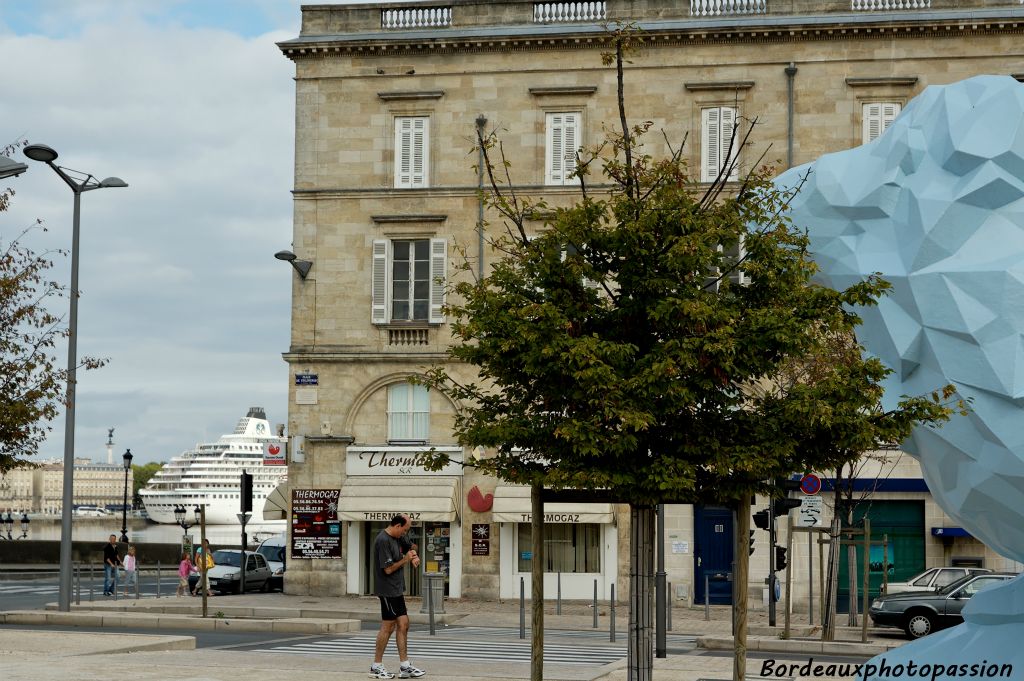 Depuis la rive droite, sa majesté "le Lion de Veilhan",  admire un nouveau visiteur.