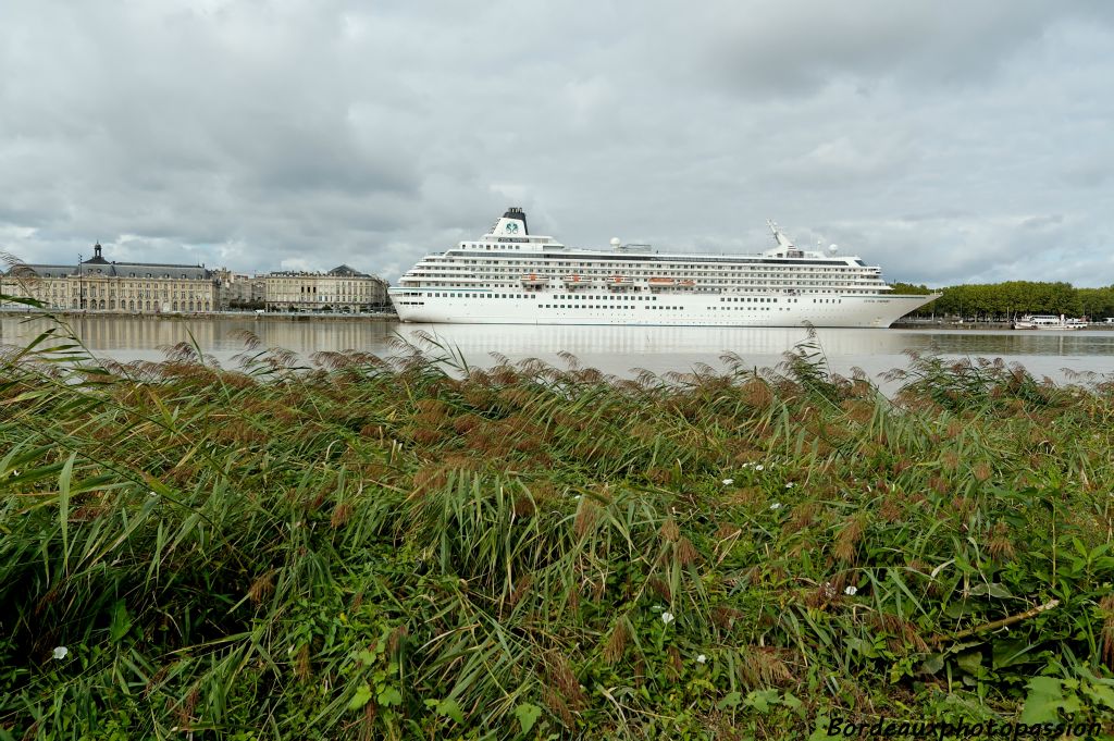 Appartenant à la compagnie Crystal Cruises, il bat pavillon des Bahamas. Sa capacité d'accueil est de 940 passagers.