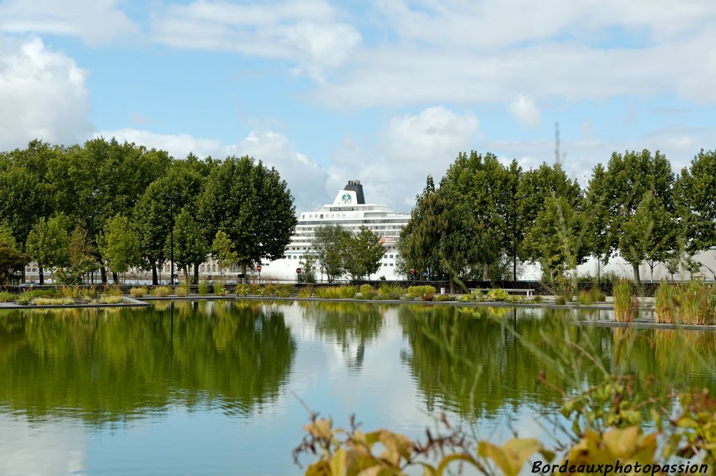 Depuis le nouveau jardin botanique situé sur la rive droite, la Garonne semble avoir disparu.