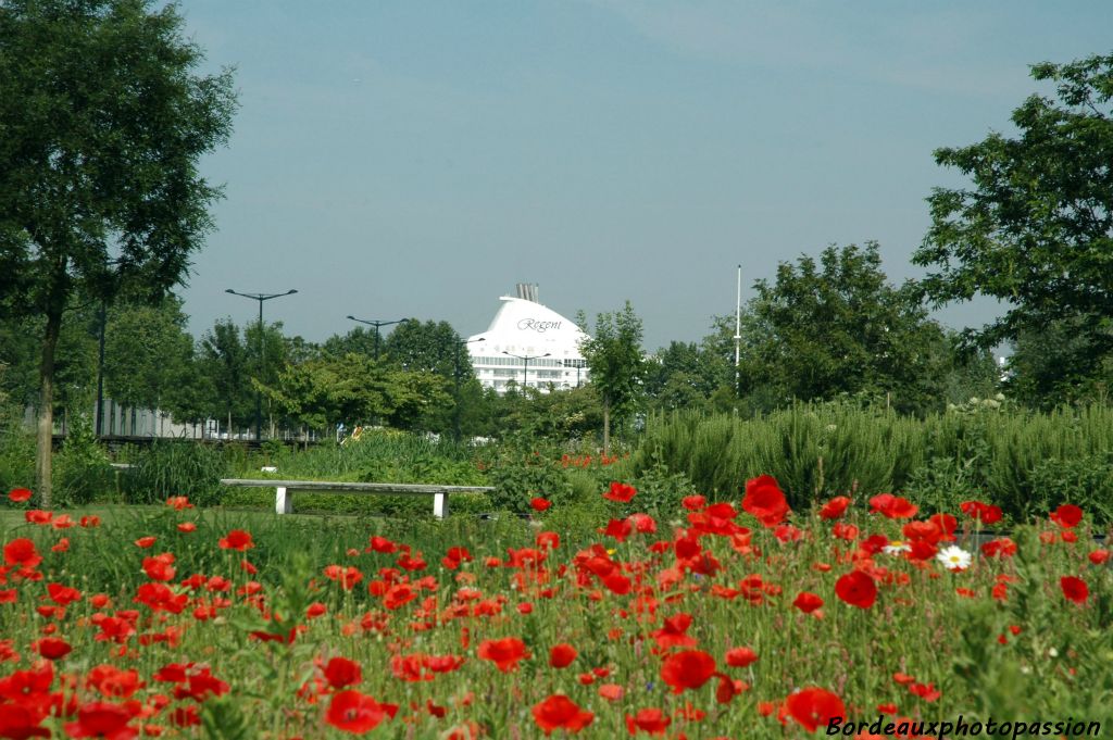 Le jardin botanique l'accueille avec un bouquet de coquelicots.