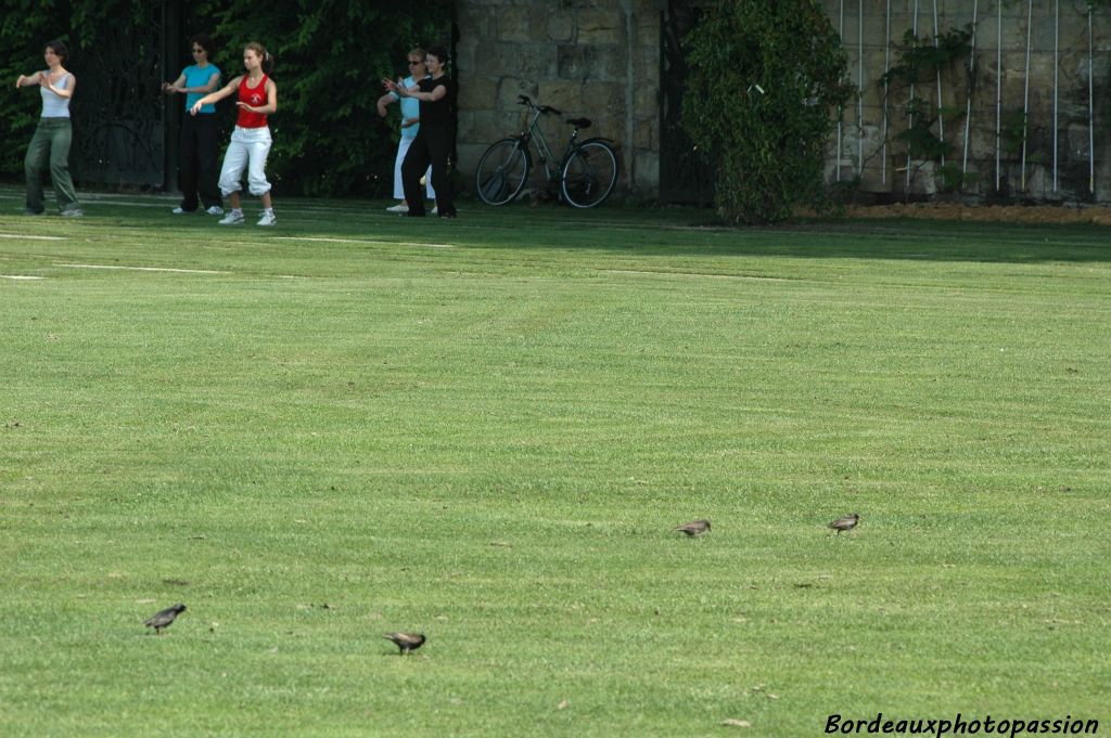 Ce jardin est propice à la marche mais aussi à bien d'autres activités.