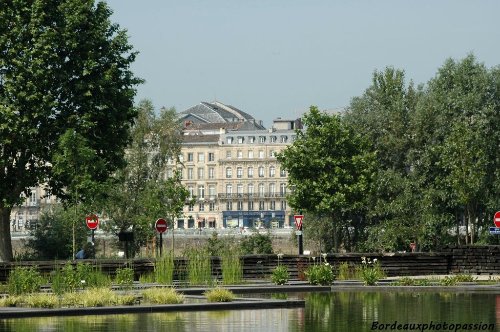 Du jardin botanique situé rive gauche, les immeubles du XVIIIe de la rive droite semblent à portée de main...