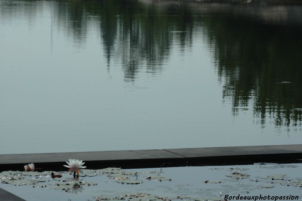 Avec ses bassins ou bien ses réservoirs, l'eau est omniprésente dans le jardin.