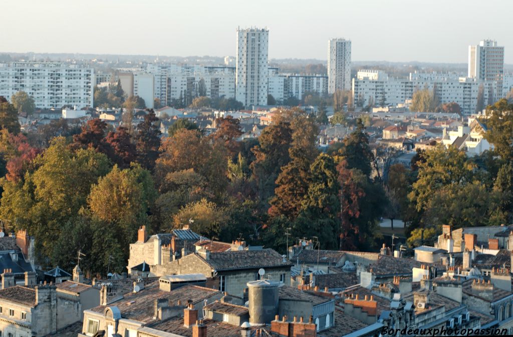 Les immeubles du quatier du Grand Parc sont sortis de terre entre 1960 et 1970. Certains arbres du Jardin Public au premier plan ont poussé bien avant eux.