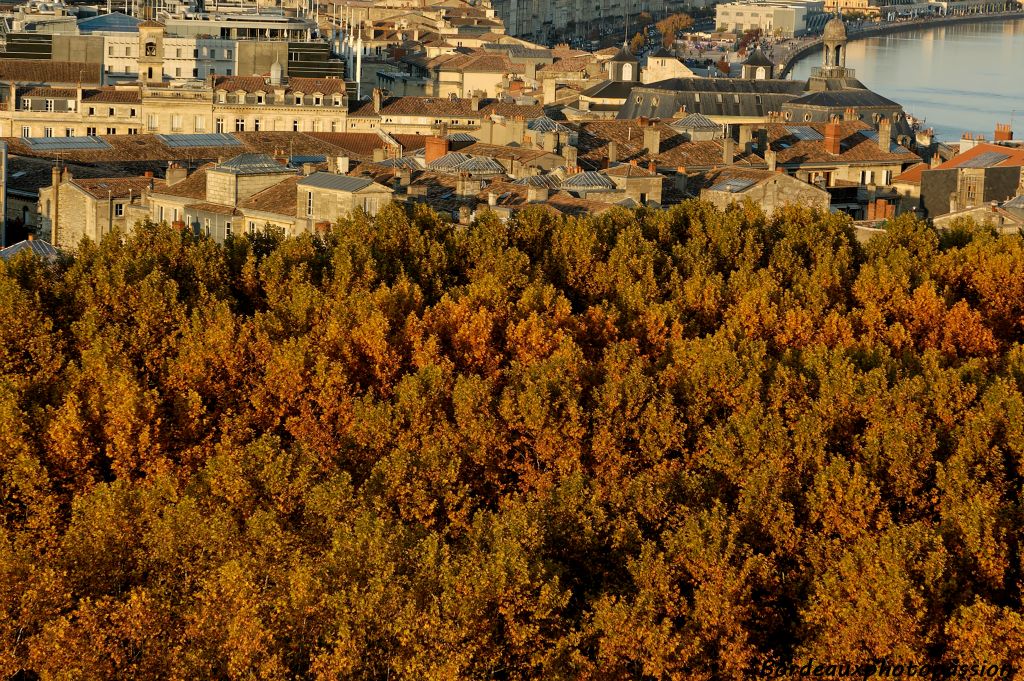 Sur les 12 ha de la plus grande place d'Europe, 6 ha sont plantés d'espace vert... Peut-on parler d'espace vert en automne ?