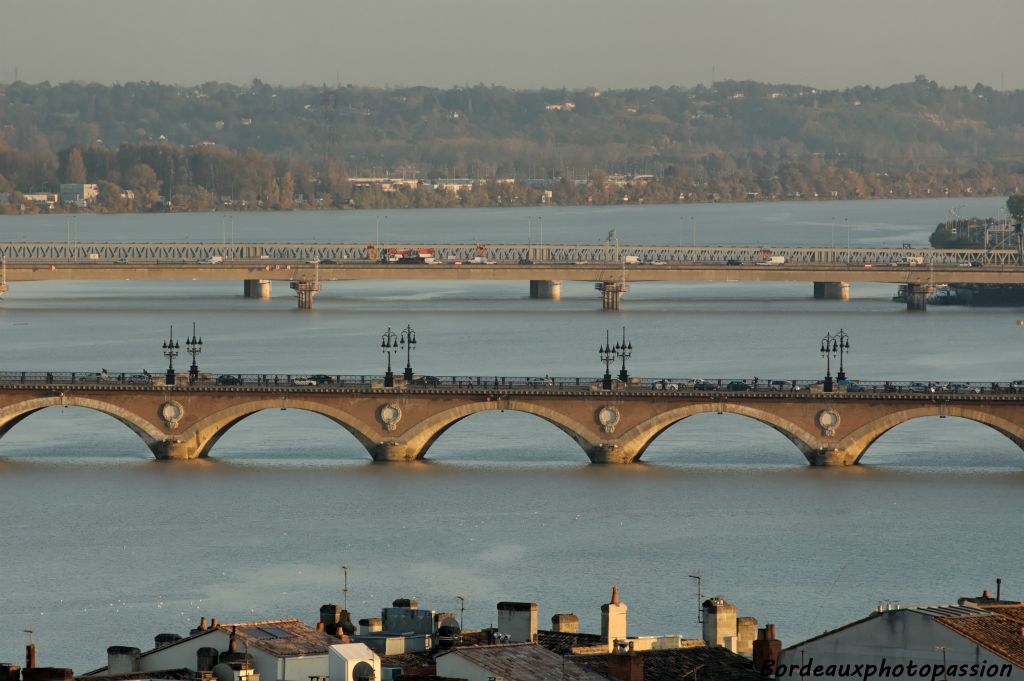 On peut distinguer la passerelle Eiffel destinée aux passages des trains depuis 1860. On aperçoit aussi les piliers blancs du nouveau pont ferroviaire qui sera opérationnel en 2008. Il manque le pont Mitterand (1993) plus en amont.