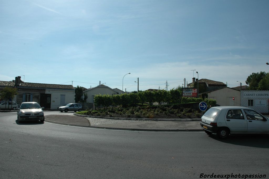 Il faut chercher beaucoup pour trouver la présence de la vigne dans Bordeaux. Ici sur le ront-point de la Médoquine, cours du Maréchal Galliéni.