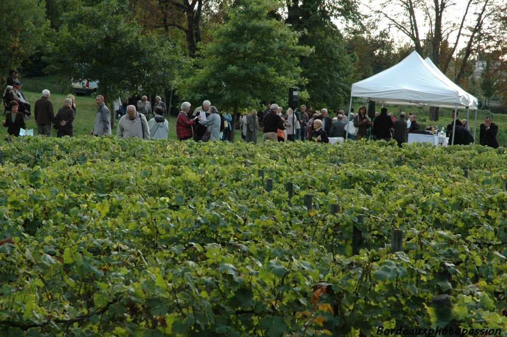 Le coup d'envoi des 3es vendanges du parc de la Béchade. Élus et habitants du quartier sont invités à couper les grappes de merlot et de cabernet sauvignon.