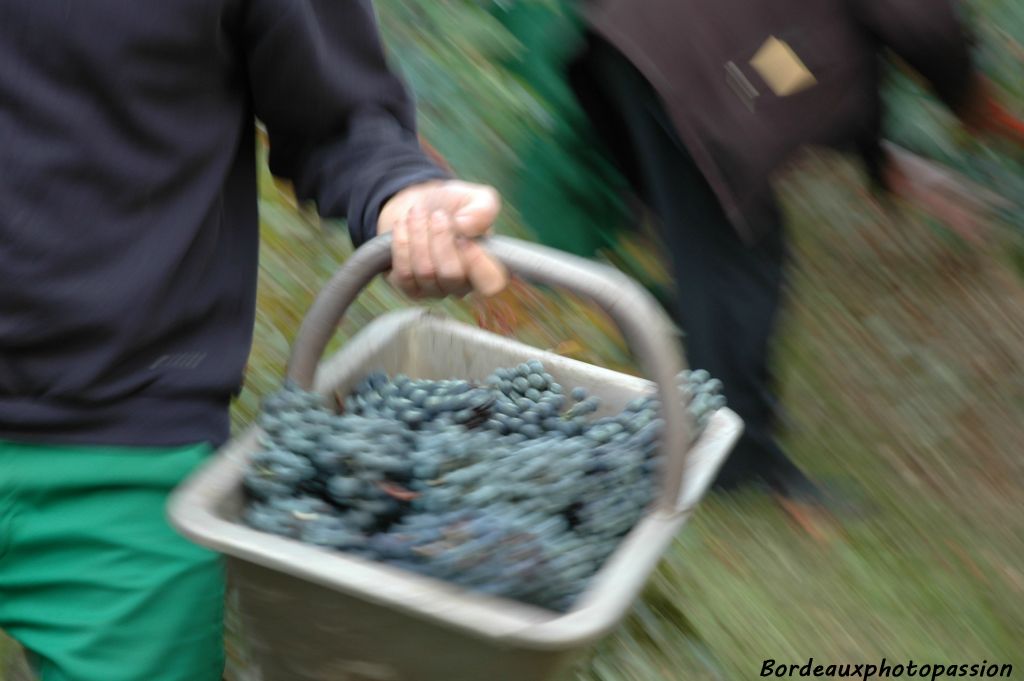 Dès que le panier est plein...