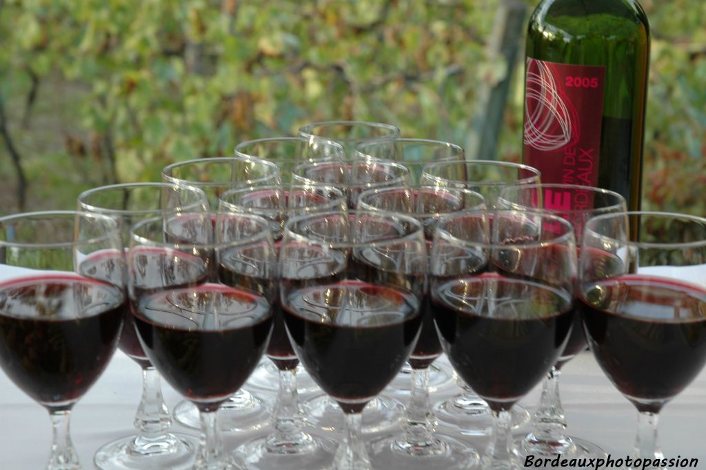 Aujourd'hui, dans le parc de la Bécharde, on va déguster le premier vin de Bordeaux. La cuvée 2005 des premières vendanges en terres bordelaises : "Le vin de Bordeaux" est là avec son étiquette bordeaux !