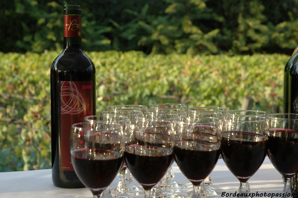 Après les explications sur la vinification de ce vin par le château Dillon, il est temps de s'approcher des verres...