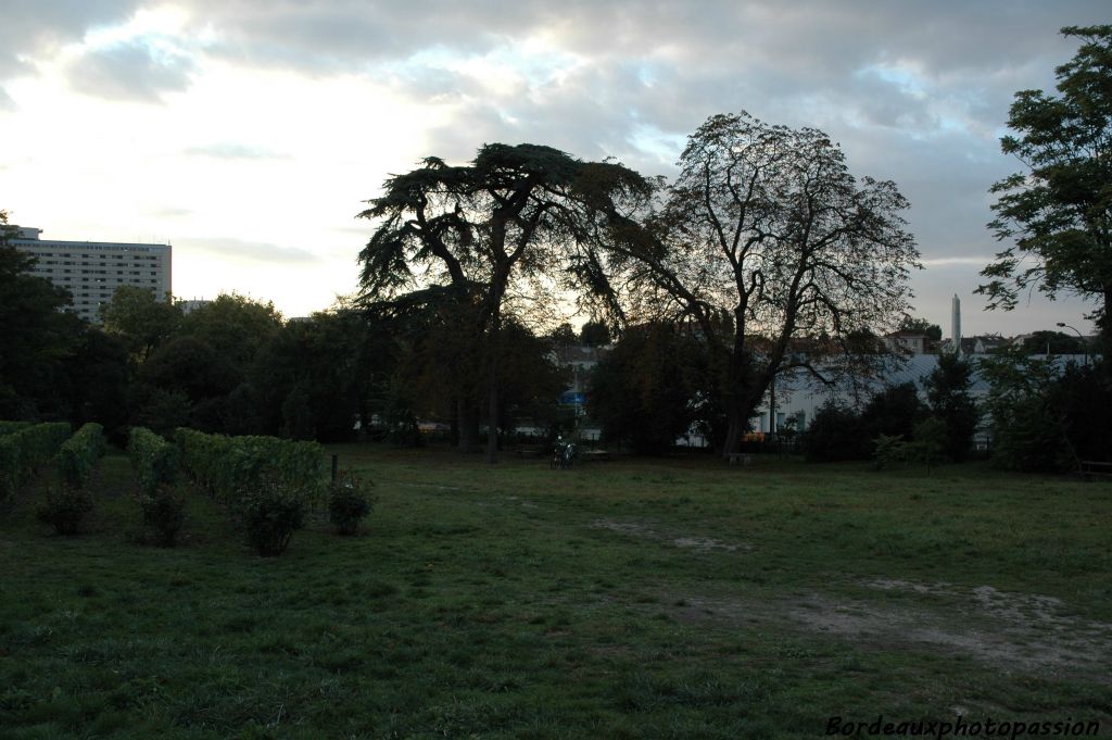 Le parc de la Béchade est à deux pas de l'hôpital Pellegrin et du stade Jacques Chaban-Delmas qui accueille à ce moment-là la coupe du monde de rugby.