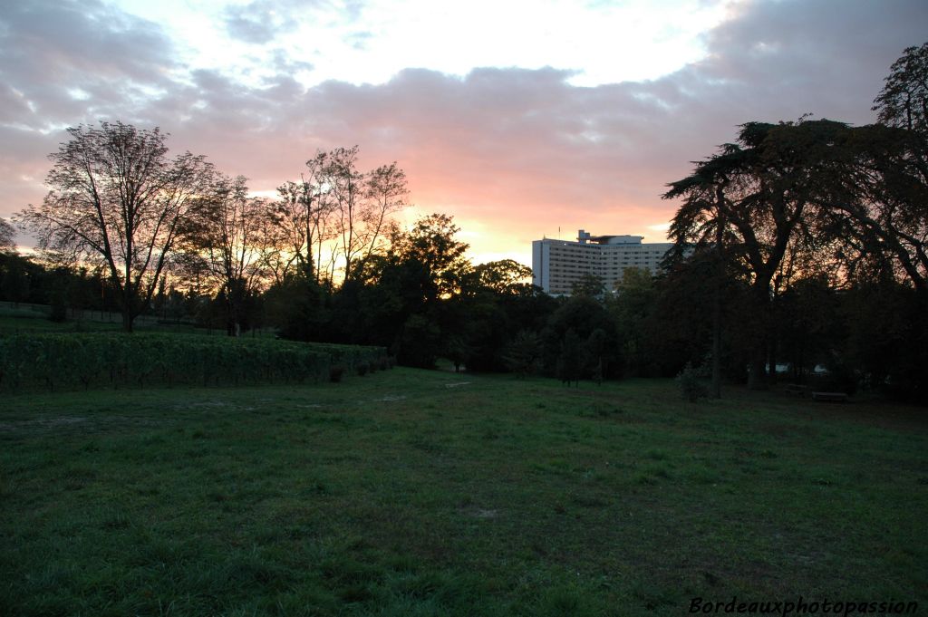  Pour clore ces troisièmes vendanges bordelaises et cette première dégustation, le soleil offre son plus beau coucher. Il est justement dans la direction du château Haut-Brion dont les vignes sont à peine à un kilomètre de là. Vous avez dit prometteur ce 2005 ?