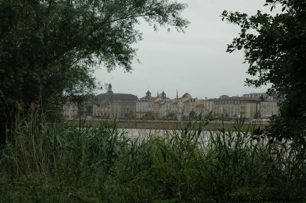 Le quartier des Chartrons