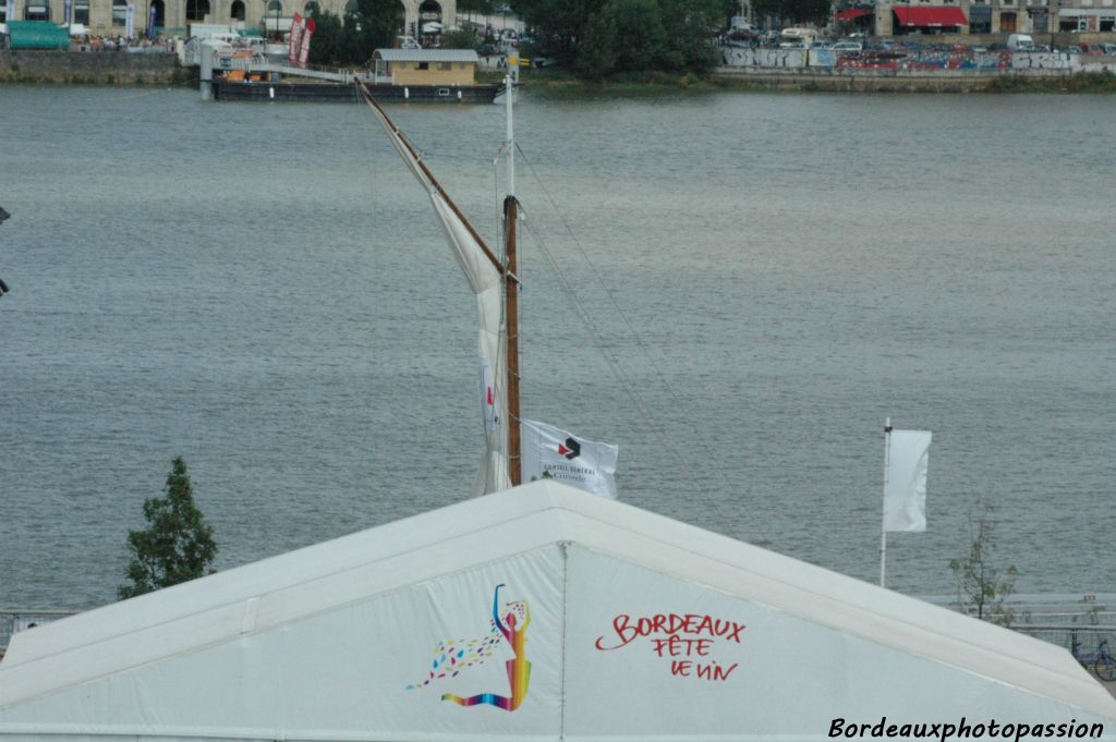 La rive droite n'a pas été oubliée avec la fête de la fleur et la traversée de Bordeaux à la nage.