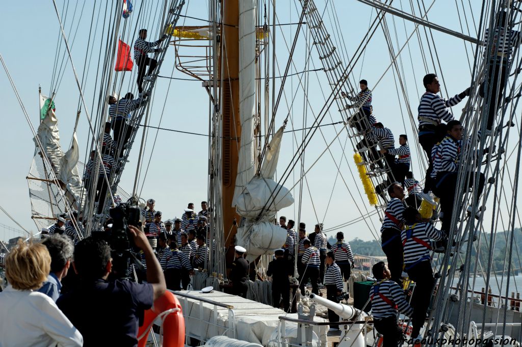 C'est avec une certaine joie qu'ils se précipitent vers les sommets du bateau.