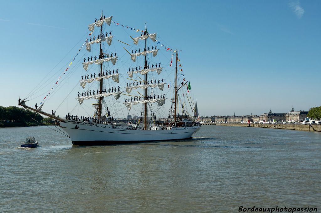 Sur les quais l'émotion est palpable. Il est vrai que dans ce grand port souvent sans bateau, le trois-mâts a fière allure.