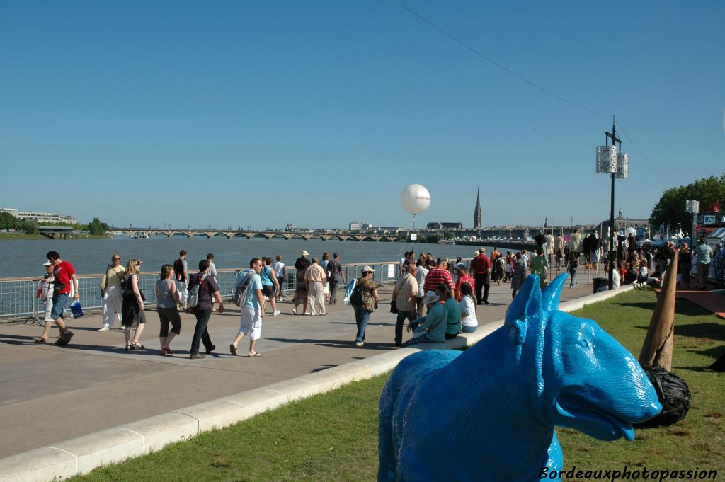 Tout au bout du pont de pierre se dresse le lion bleu de Xavier Veilhan scrutant le fleuve. Ici sur les quais, pendant la fête du vin, un autre animal bleu tourne le dos à la Garonne.