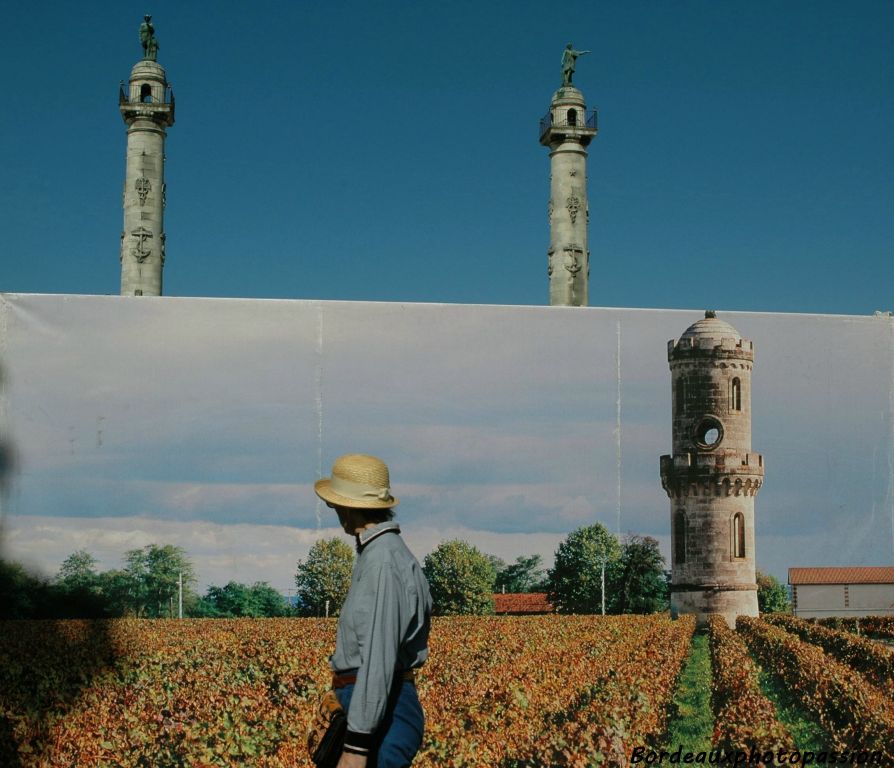 La photo a été placée juste devant la piste cyclable où piétons et cyclistes ont pu, pendant quelques instants se croire au milieu du vignoble médocain.