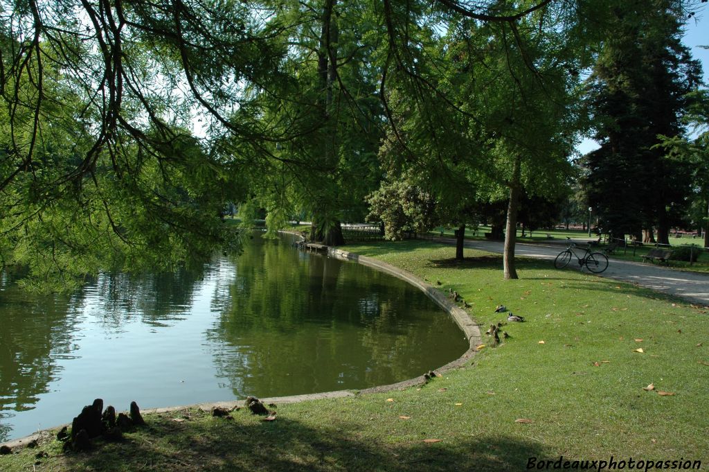 Plans d'eau et espèces exotiques peuplent le jardin public. Ici on peut voir le cyprès chauve de Louisiane qui pousse ses racines à l'envers afin de chercher l'humidité dans l'air.