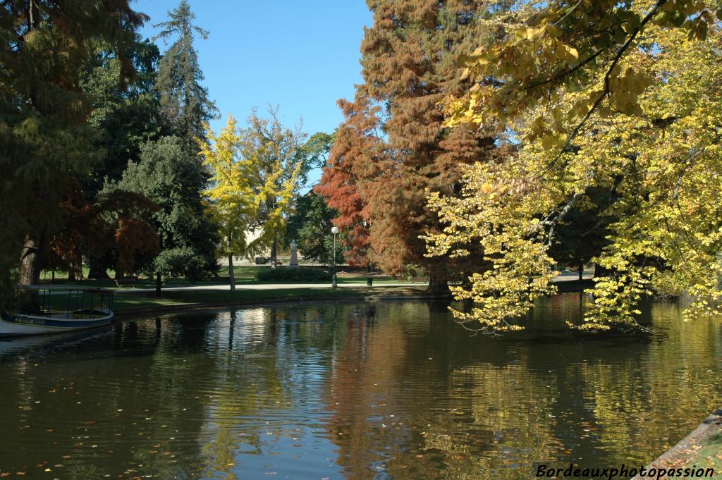 À l'automne, les arbres sont souvent en feu...