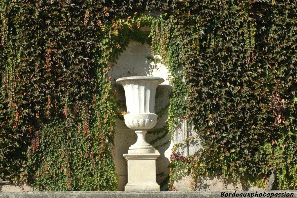 C'est l'ampélopsis, vigne vierge, qui habille le Jardin botanique aux quatre saisons.