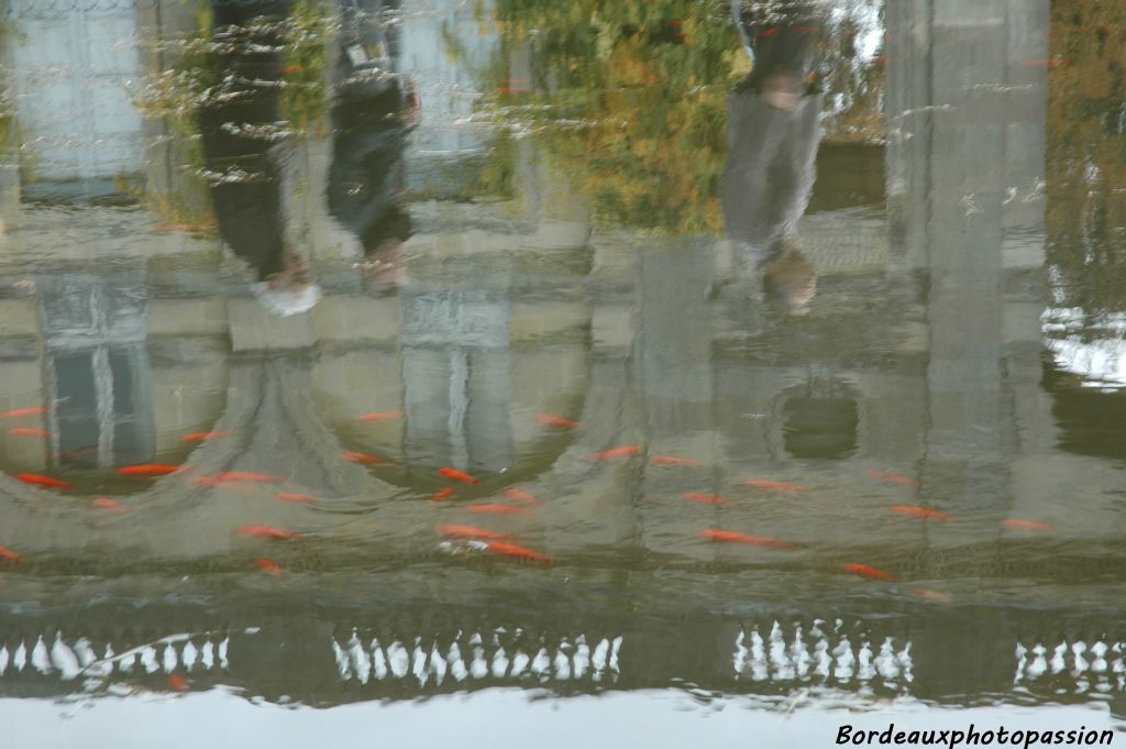 Seuls les poissons rouges n'ont pas droit à se promener dans ce lieu public depuis 250 ans. Dommage !