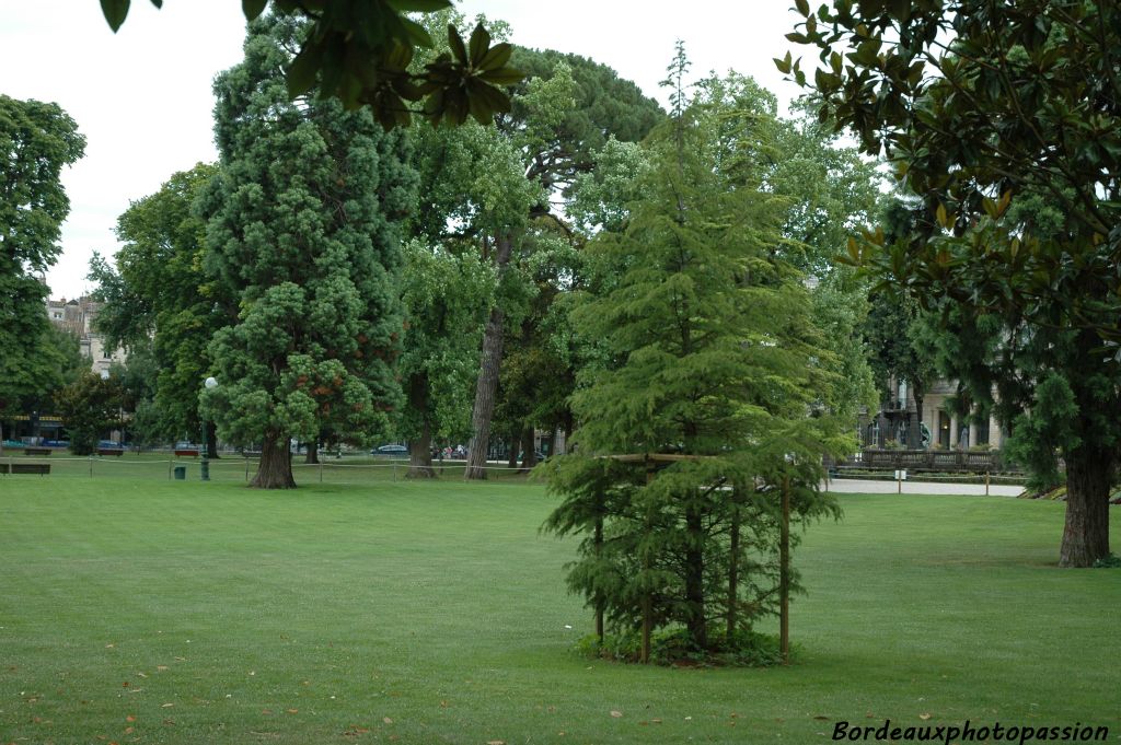 Au Jardin public, plantation d'un cèdre des "familles souches" en l'honneur des centaines de pionniers venus de Bordeaux et de la Gironde  et qui ont participé à l'édification de la Nouvelle-France.