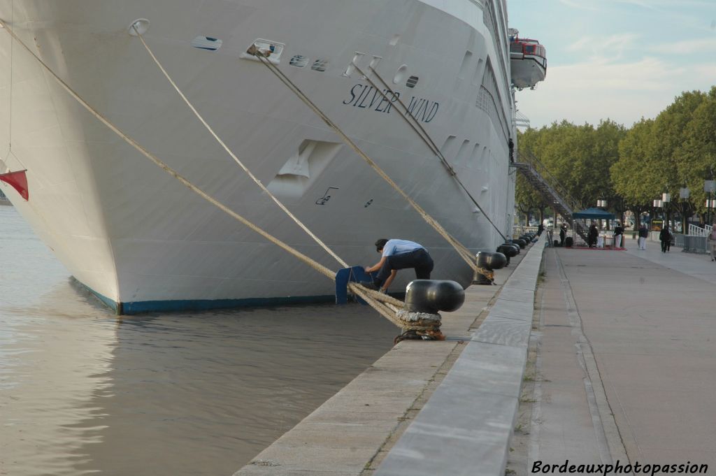 Toutes lesmesures sont prises pour leur sécurité : pose de barrières le long du quai ainsi que de garde-rats dans tous les ports où le paquebot accoste.