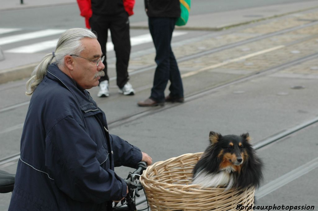 On est est venu avec tout le monde et par tous les moyens pour voir passer aussi les athlètes des Foulées des deux rives (10km).