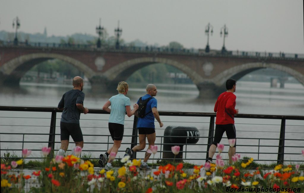 Tout proche de l'arrivée, même fatigué, il n'est pas interdit d'admirer les massifs sur les quais.