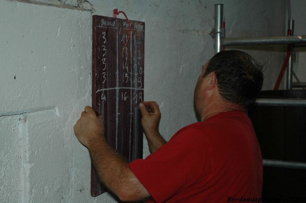 Le nombre de bastes est minutieusement noté parcelle par parcelle. La grêle du 8 juin a fait chuter la récolte de merlot.