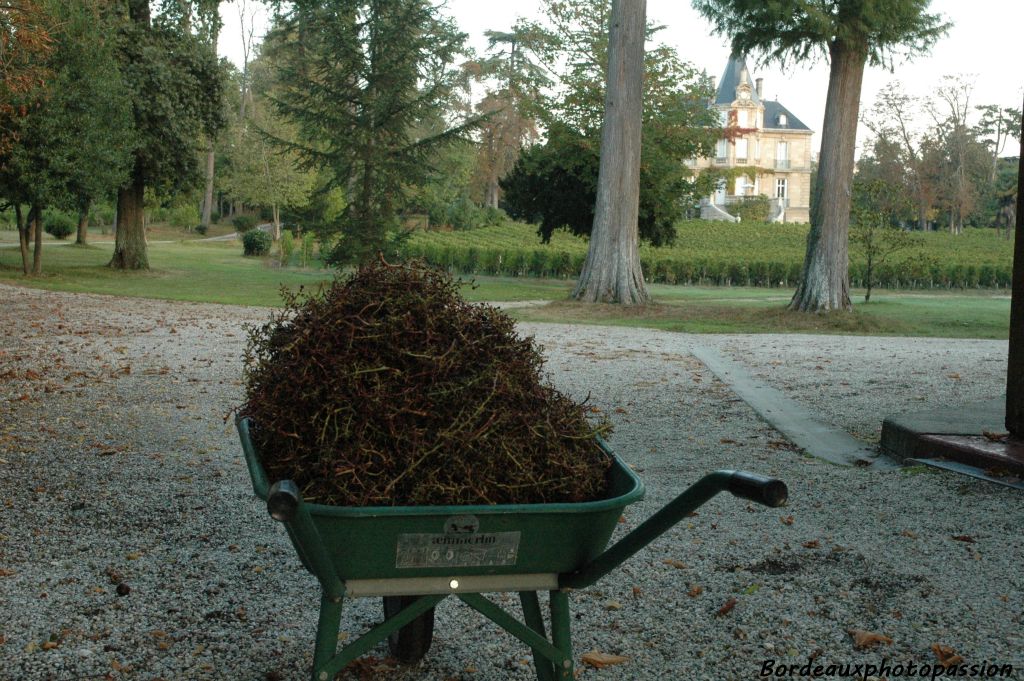 Quelques brouettes de rafle...
