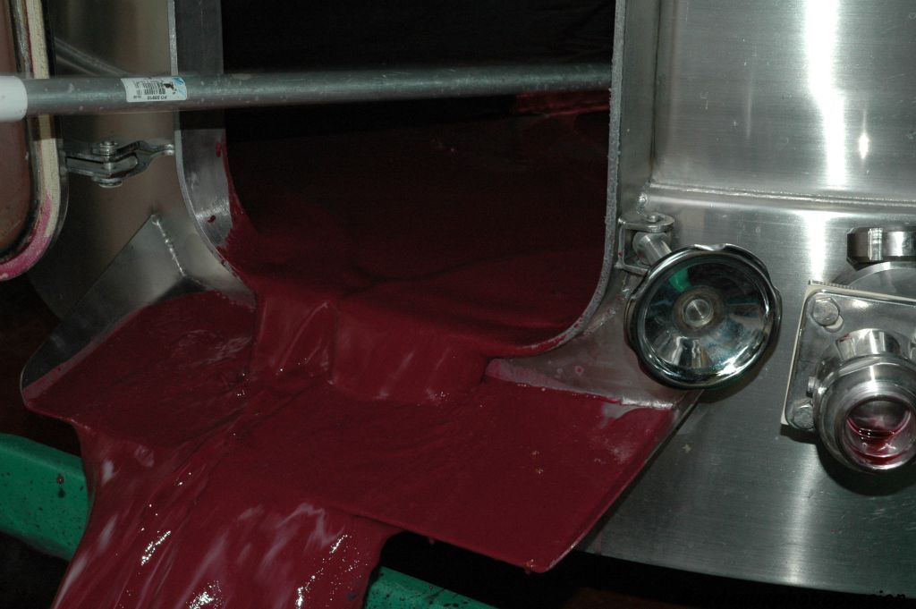 Le jus de raisin a commencé à fermenter grâce à l'action des levures. Au fond de la cuve, ce jus est plus visqueux. Ce sont les levures mortes formant la lie.