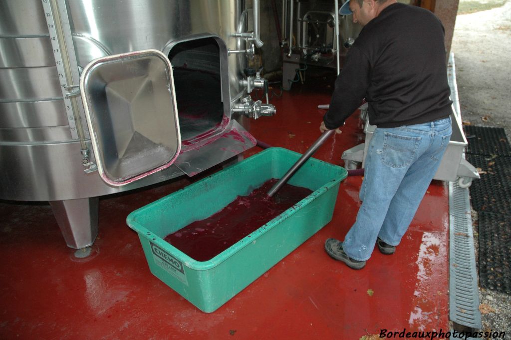 Le liquide récupéré dans un bac sera pompé dans une autre cuve avec le reste de la vendange qui a bien commencé à sa fermentation alcoolique.