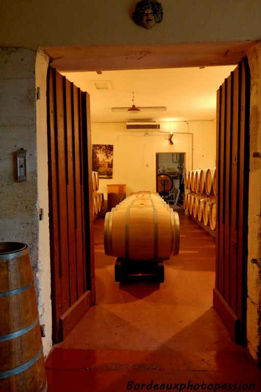 Au mois de décembre, le vin de l'année 2008 est toujours en barriques.
