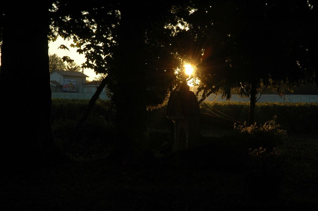 Le 13 octobre 2009, le soleil peine à traverser ses rayons à travers les arbres du parc, c'est le dernier jour de vendange. 