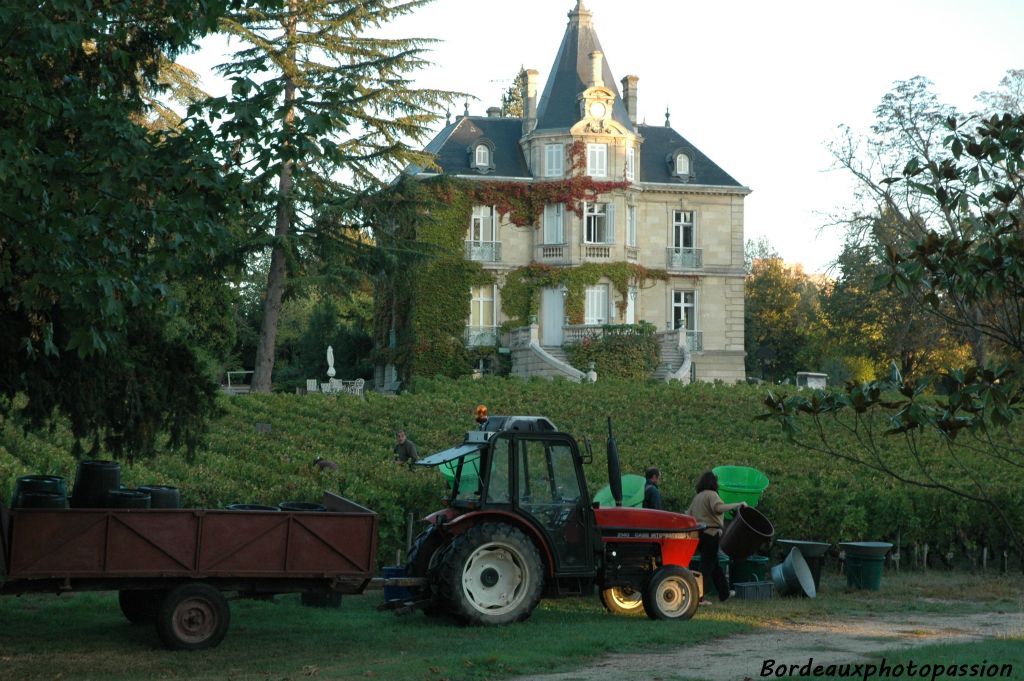 Aujourd'hui, le spectacle est grandiose pour les vendangeurs. Le terme de château dans le Bordelais est souvent galvaudé. Pas ici ! Château Les Carmes Haut-Brion chacun peut le voir dès qu'il relève la tête.