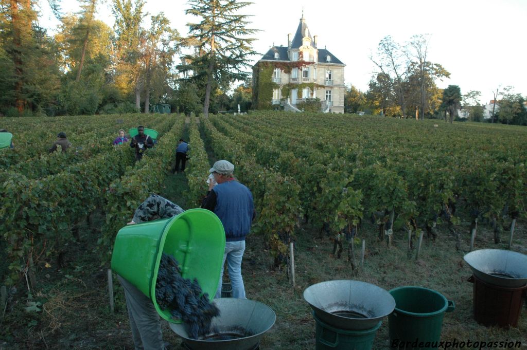 Les vendangeurs apprécient de travailler au pied du château construit par Léon Colin en 1840