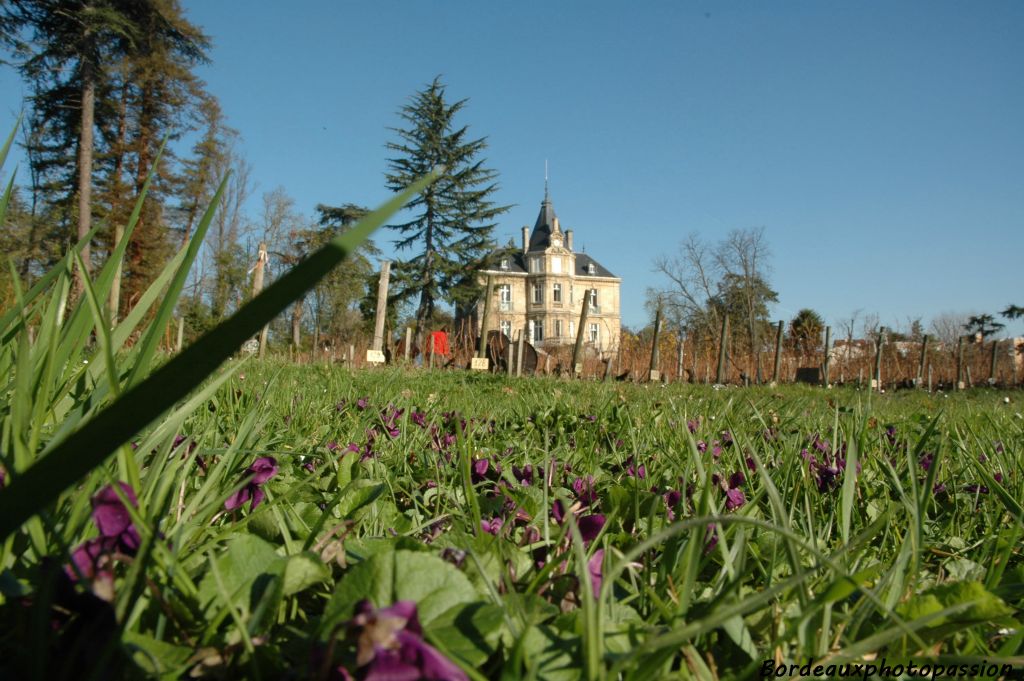 Même l'hiver, le parc a son charme quand on sait bien regarder.