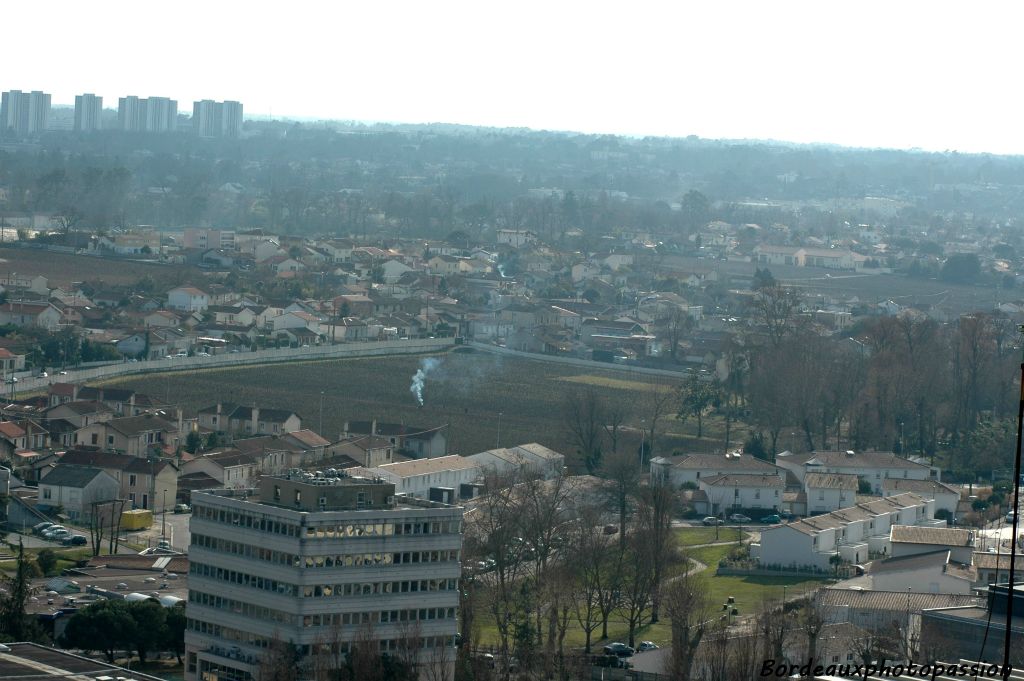 Mais pourquoi une fumée blanchâtre dans les vignes du château Les Carmes Haut-Brion en ce matin de février ?