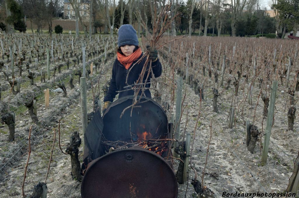 Il faut toujours entretenir le feu afin qu'il ne s'éteigne pas...