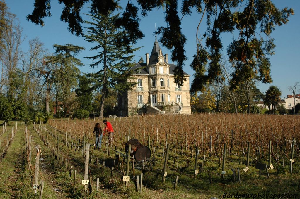 Surtout choisir les sarments du cabernet-sauvignon qui brûlent beaucoup moins vite que ceux du merlot.