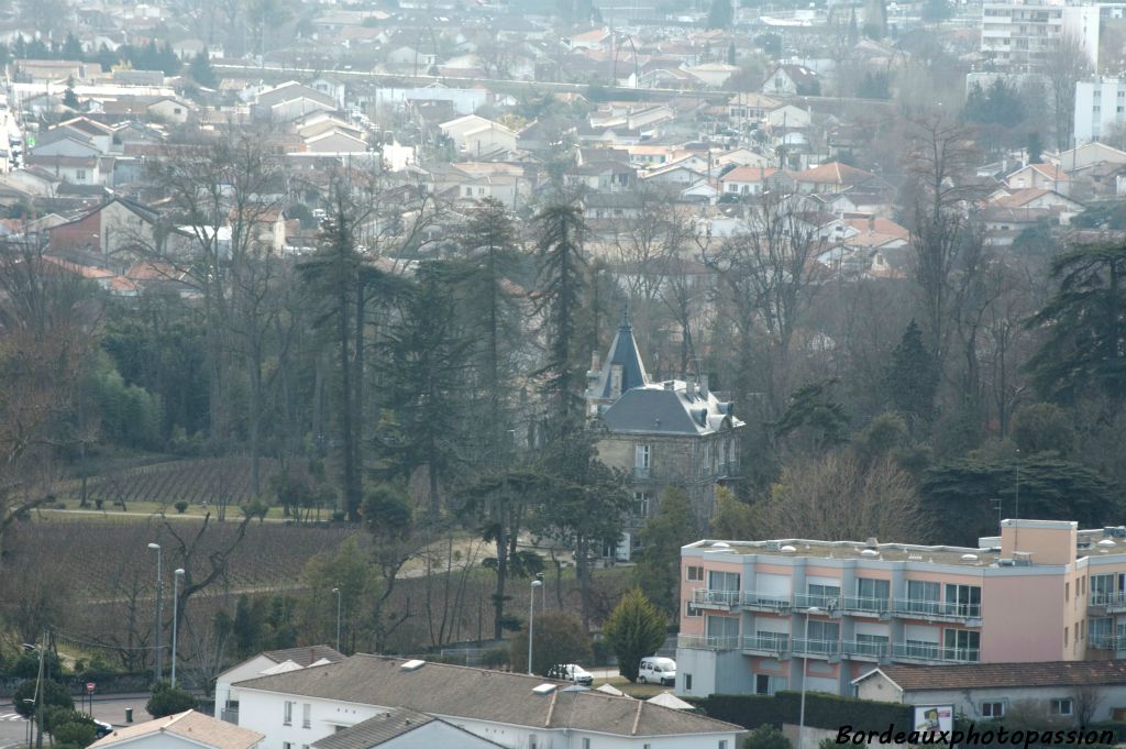 Le vignoble a son château depuis le début du XIXe siècle.