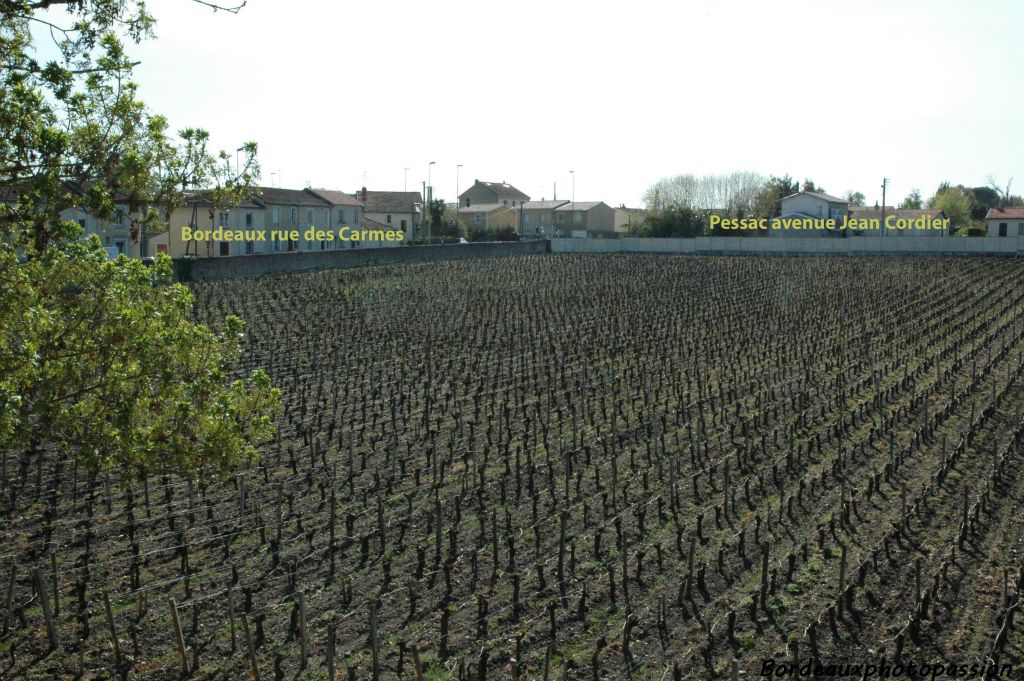A l'est la rue des Carmes suit le long mur de pierre. C'est l'histoire du vignoble qui a donné son nom à cette rue.