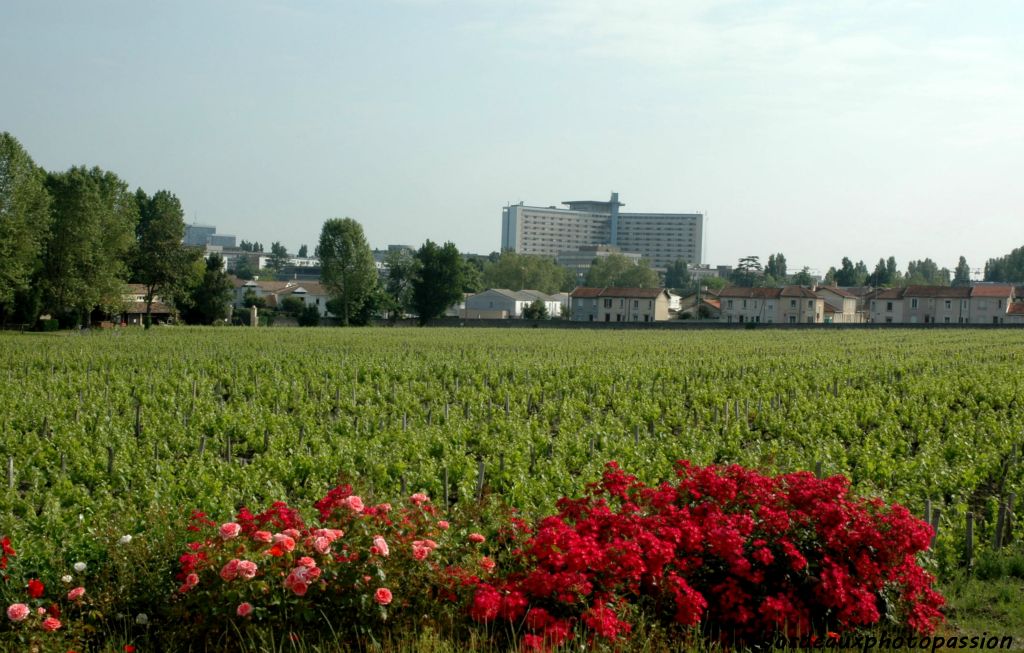 En 1584, Jean de Pontac, seigneur de Haut-Brion, fait don aux pères Carmes de Notre-Dame, du  moulin à eau de Crespiac, sur le Peugue et d'une parcelle de vignes. Les moines garderont ce vignoble jusqu'en 1791. La petite parcelle du XVIe siècle était devenue alors un beau vignoble de 10 hectares...