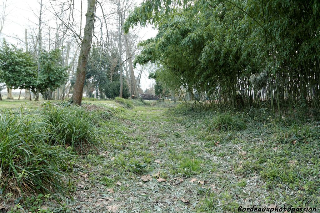 Depuis toujours le Peugue coule au fond de ce vallon. Maintenant canalisé, il partage symboliquement le domaine en deux, Pessac d'un côté et Mérignac de l'autre.